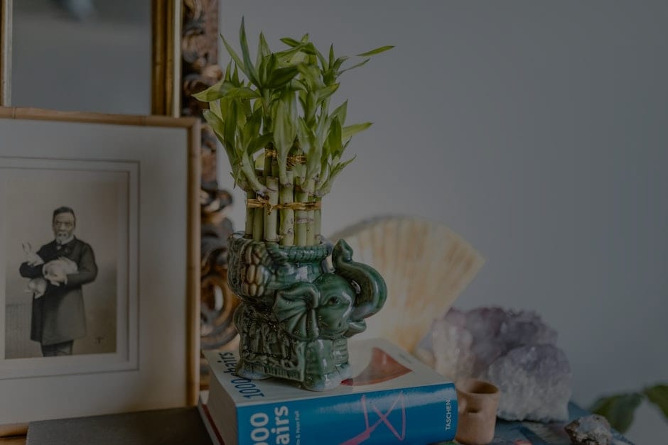 A Guide to Feng Shui Ornaments for Better Sleep and Relaxation