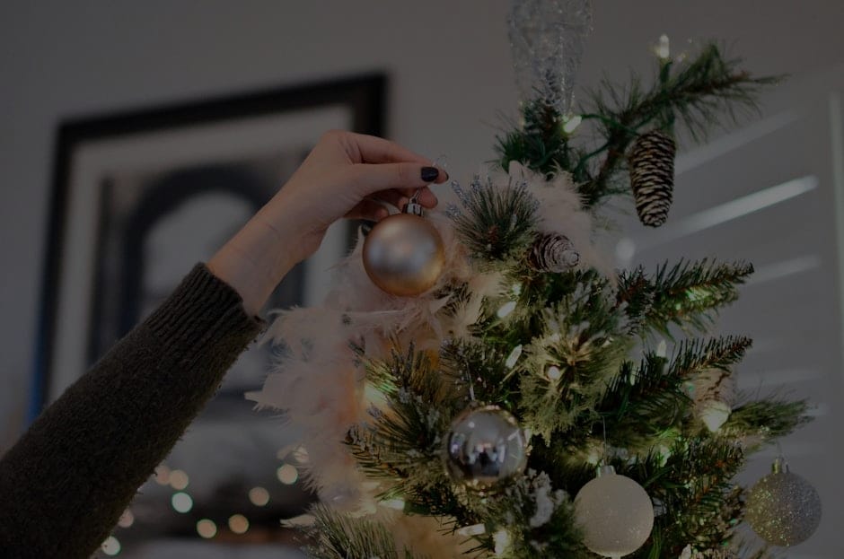A Guide to Feng Shui Ornaments-What to Avoid in Your Home Decor