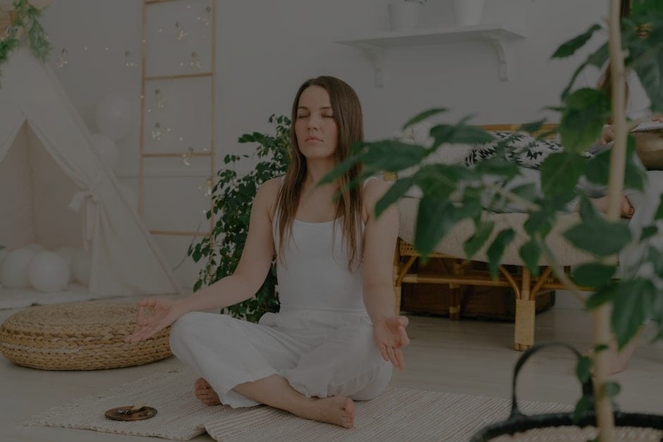 Attracting Wealth-How to Use Feng Shui Energy Items in Your Home