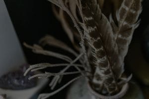 Boost Your Energy-The Best Feng Shui Crystals for European Homes