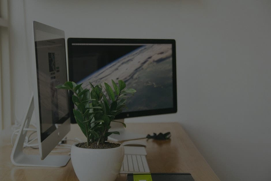 Boost Your Productivity-The Best Feng Shui Ornaments for Your Office