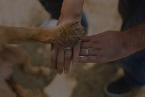 Boost Your Relationship-Best Feng Shui Ornaments for Love and Connection
