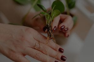 Child-Friendly Feng Shui-Safe Energy Ornaments for a Nurturing Environment