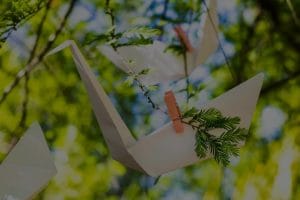 Child's Room Harmony-Feng Shui Tips and Ornaments for a Balanced Environment