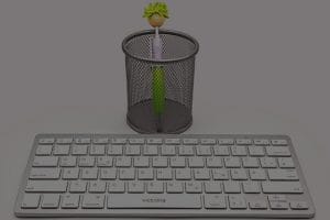 Choose the Right Feng Shui Ornaments for Your Home Office Setup