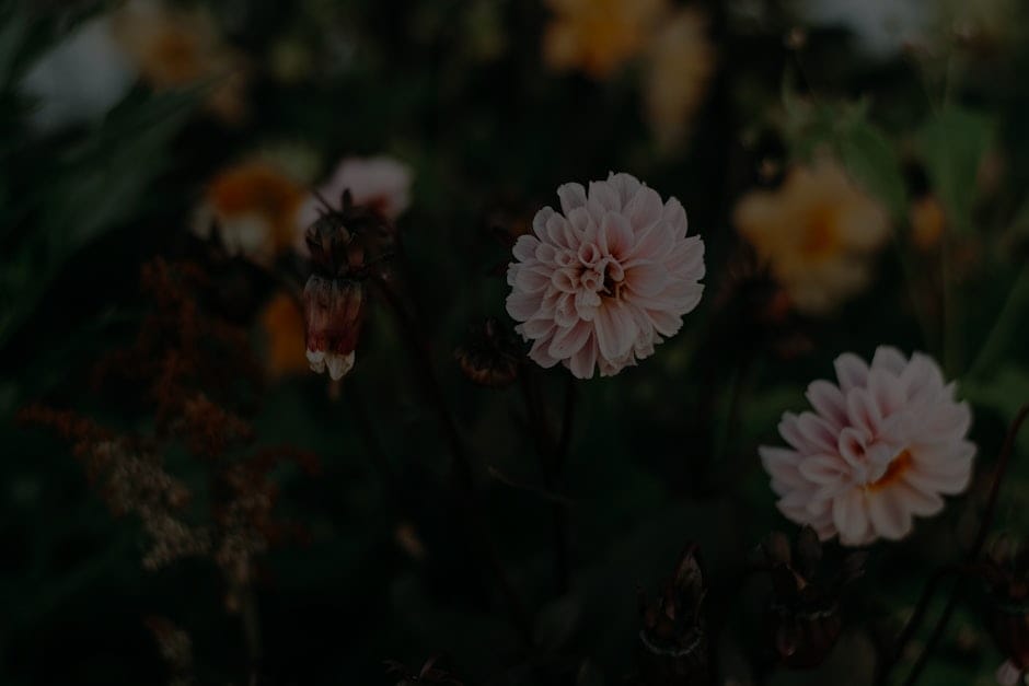 Choosing Feng Shui Ornaments for a Peaceful Garden Environment