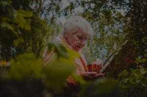 Choosing the Right Feng Shui Ornaments for a Balanced Family Environment