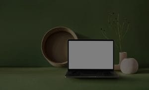 Choosing the Right Feng Shui Ornaments for Your Office Setup