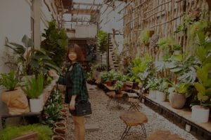 Common Feng Shui Mistakes-What to Avoid When Decorating Your Space
