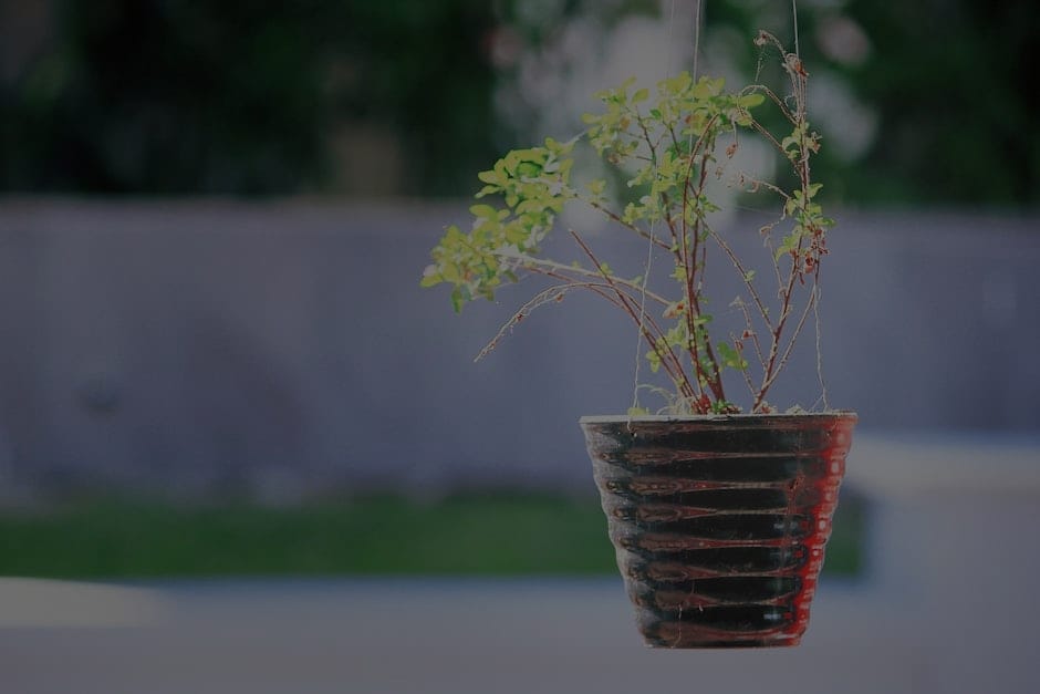 Create a Peaceful Outdoor Space-Feng Shui Decor Ideas for Your Garden