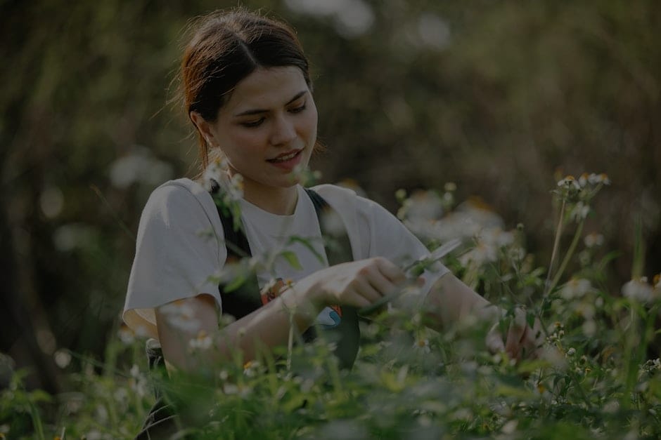 Create a Positive Work Environment-Feng Shui Solutions for Remote Workers