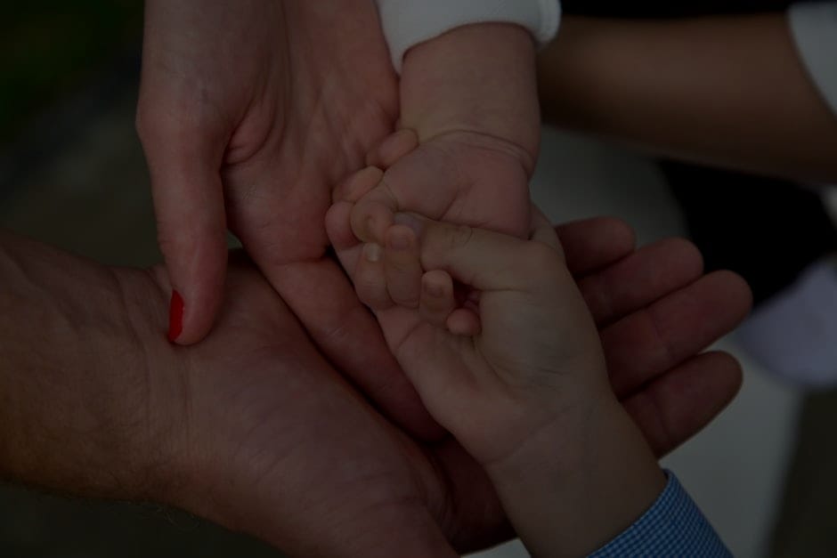 Create Harmony-How to Use Feng Shui to Improve Family Relationships