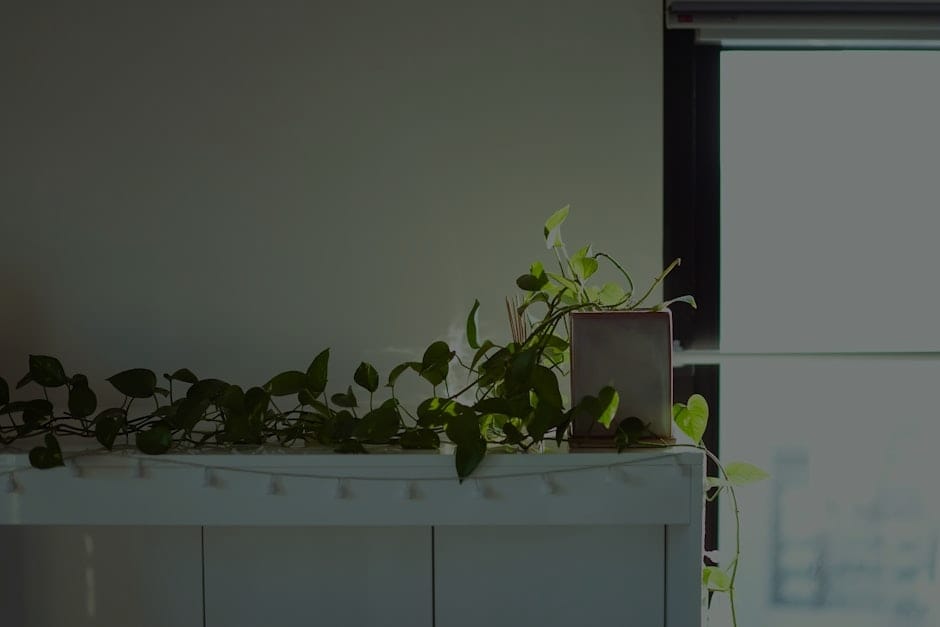 Creating a Balanced Home Environment with Feng Shui Crystals
