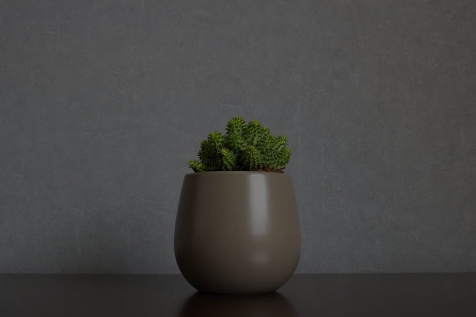 Creating a Calm and Harmonious Home-Essential Feng Shui Decor Tips