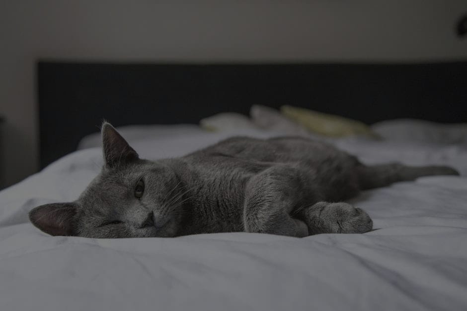 Creating a Calm Bedroom-Feng Shui Solutions for Better Sleep