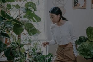 Creating a Calming Space-The Role of Feng Shui in Your Home