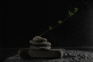 Creating a Peaceful Garden-Feng Shui Elements to Incorporate