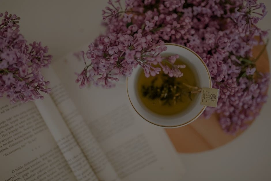 Creating a Zen Garden at Home-Feng Shui Elements to Include