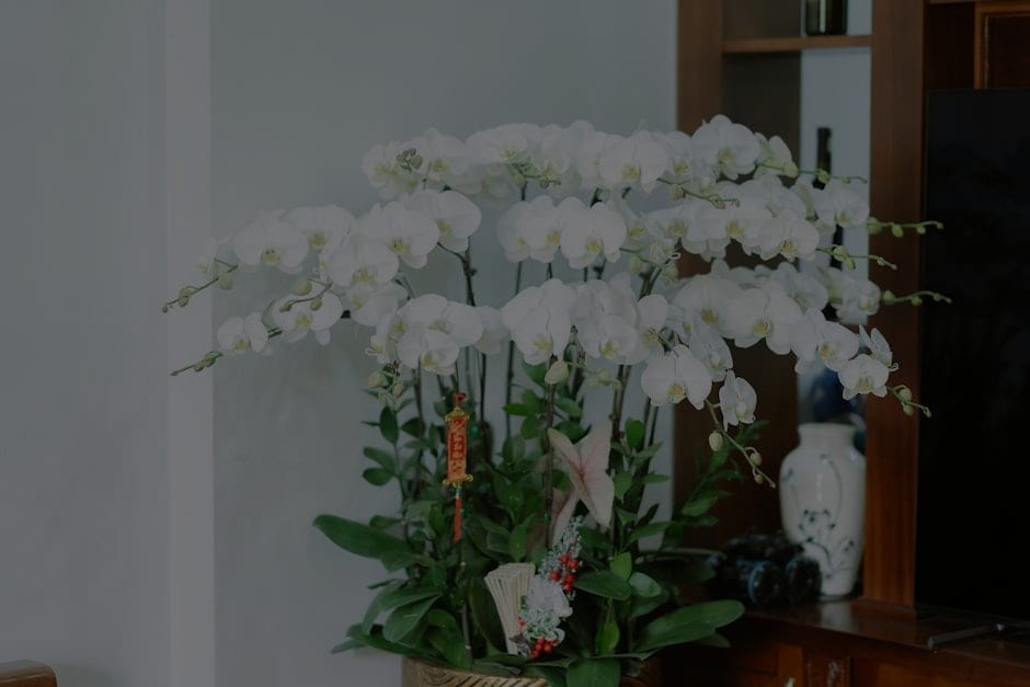 Decorate with Purpose-Feng Shui Ornaments That Align with Your Goals
