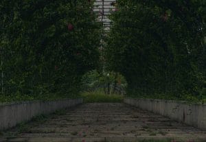 Designing a Feng Shui Garden-Energy-Enhancing Ornaments for Outdoor Spaces