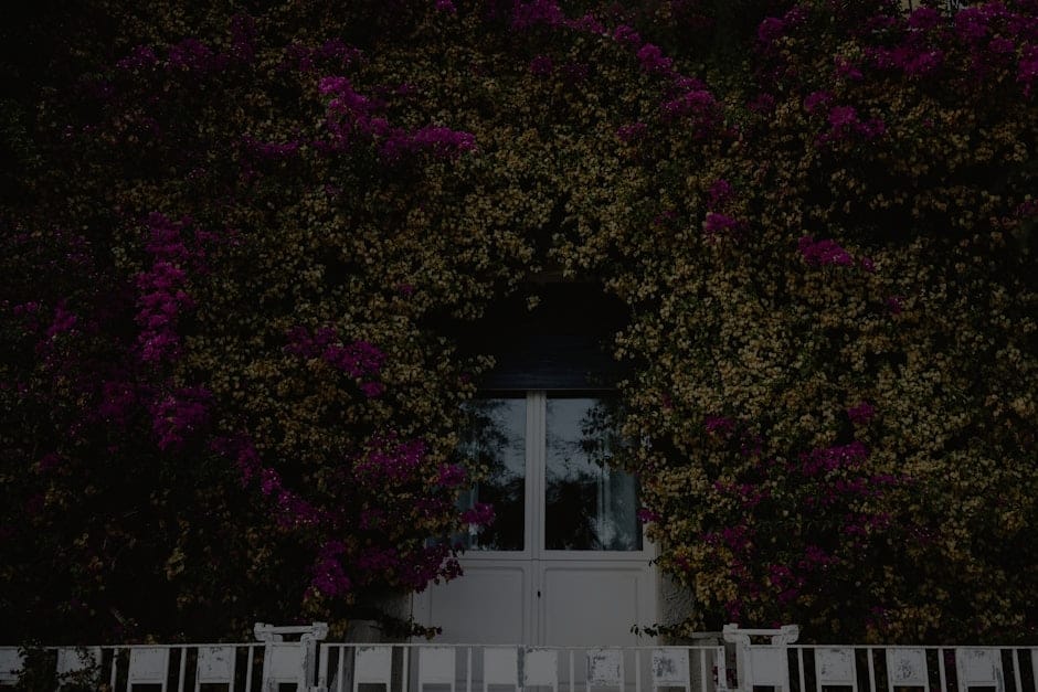 Designing a Harmonious Garden-Feng Shui Ornaments for Outdoor Spaces