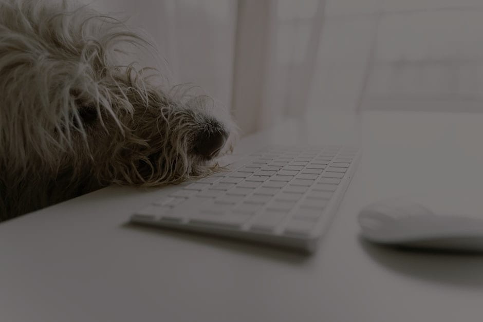 Designing a Peaceful Workspace-Feng Shui Tips for Modern Offices