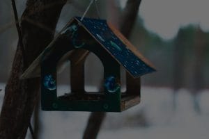 DIY Feng Shui Decor Ideas for a Balanced Home Environment
