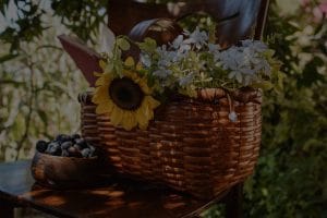 Elevate Your Garden-Feng Shui Elements for Outdoor Spaces