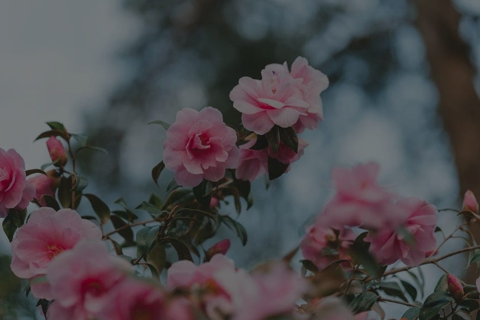 Elevate Your Garden-Feng Shui Ornaments to Promote Outdoor Serenity