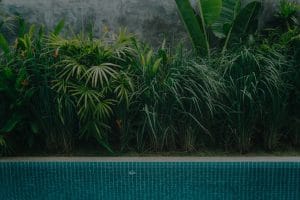 Elevate Your Garden's Energy-Feng Shui Practices for Outdoor Spaces