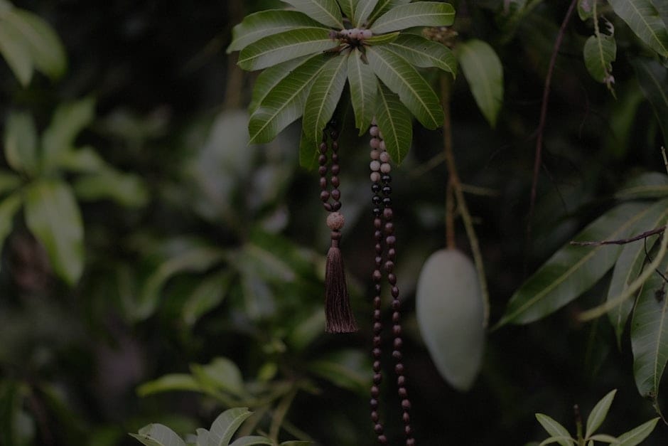 Elevate Your Garden's Vibe-Feng Shui Tips for Outdoor Spaces