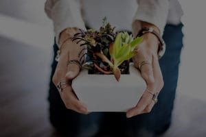 Elevate Your Home Decor with Stylish Feng Shui Energy Ornaments