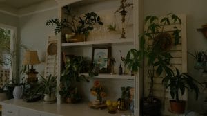 Elevate Your Interior Design-Stylish Feng Shui Ornaments for Modern Homes