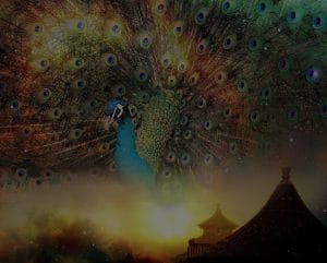 Elevate Your Mindset-Feng Shui Practices for Mental Clarity