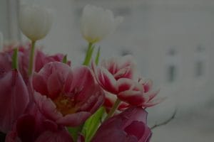 Elevate Your Outdoor Space-Feng Shui Decor Tips for Your Garden