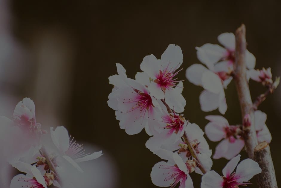 Elevate Your Outdoor Space-Feng Shui Ornaments for a Peaceful Garden
