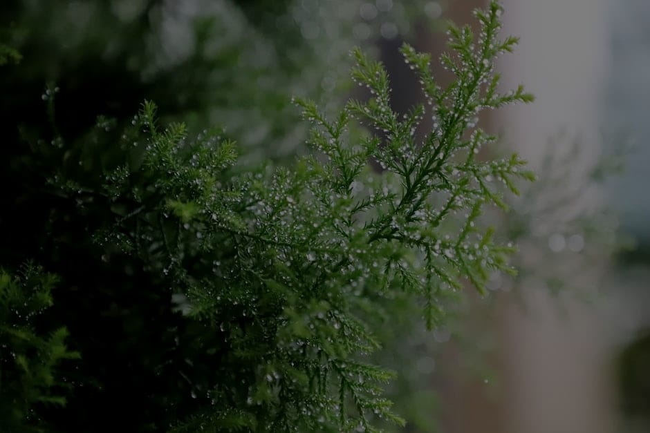 Enhance Your Garden-Feng Shui Energy Ornaments for Outdoor Serenity