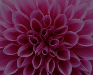Enhance Your Garden with Feng Shui Ornaments-Attract Positive Energy Outdoors