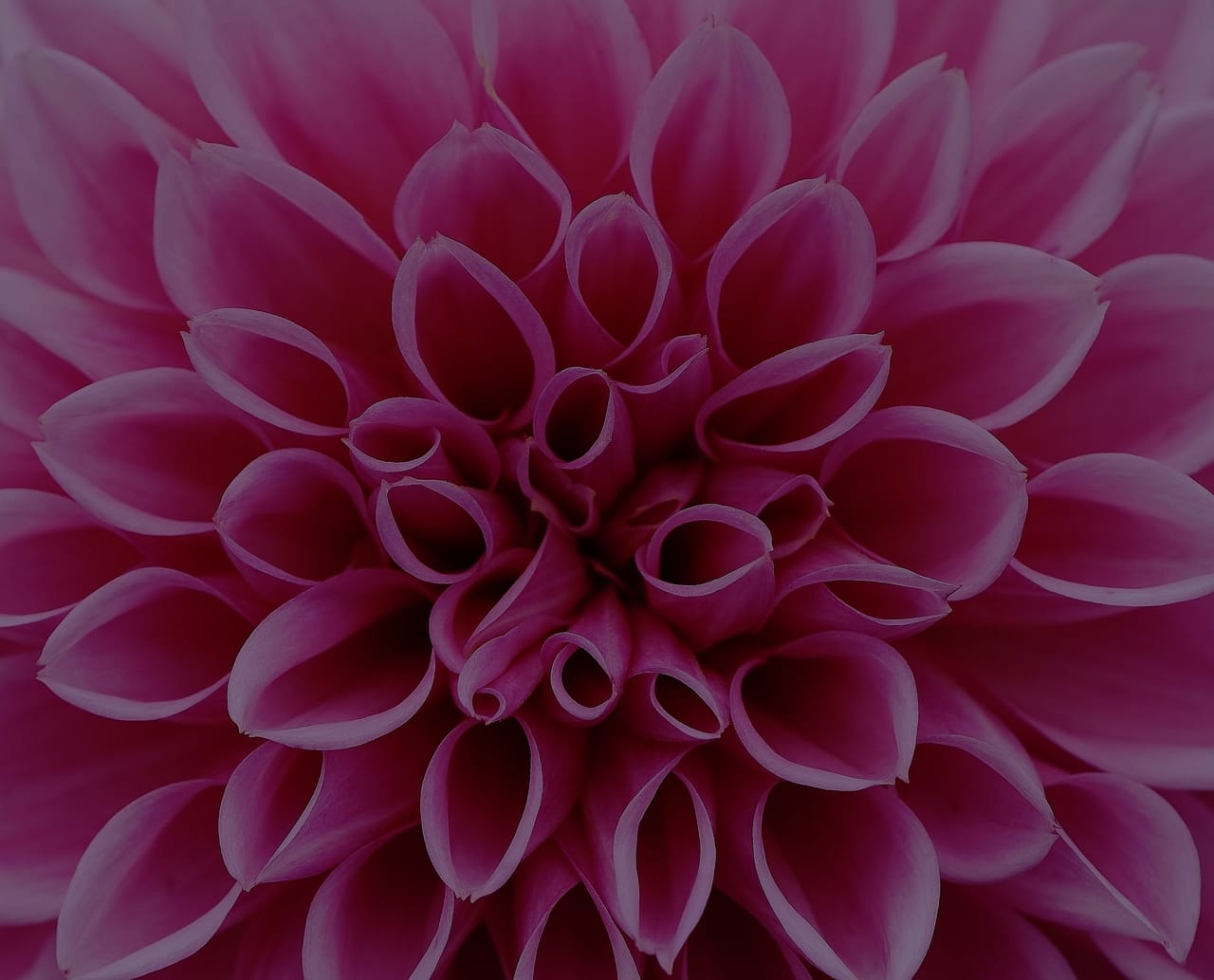 Enhance Your Garden with Feng Shui Ornaments-Attract Positive Energy Outdoors