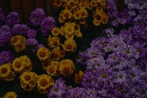 Enhance Your Garden with Feng Shui Ornaments for Abundant Growth