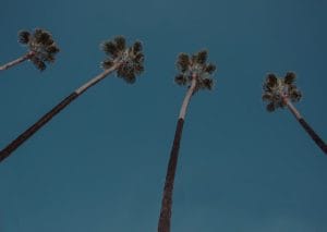 Enhance Your Garden’s Energy-Feng Shui Items for Outdoor Spaces