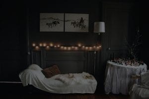 Enhance Your Home's Energy-Feng Shui Ornaments for Every Room