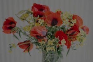 Enhance Your Love Life-Best Feng Shui Ornaments for Romance
