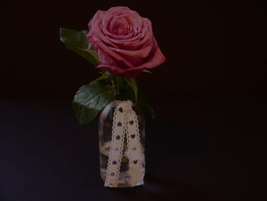 Enhance Your Love Life-Best Feng Shui Ornaments for Romantic Spaces