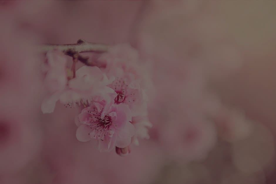Enhancing Your Garden with Feng Shui Energy Ornaments for Serenity
