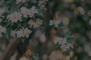 Enhancing Your Garden with Feng Shui-Ornaments for Outdoor Serenity