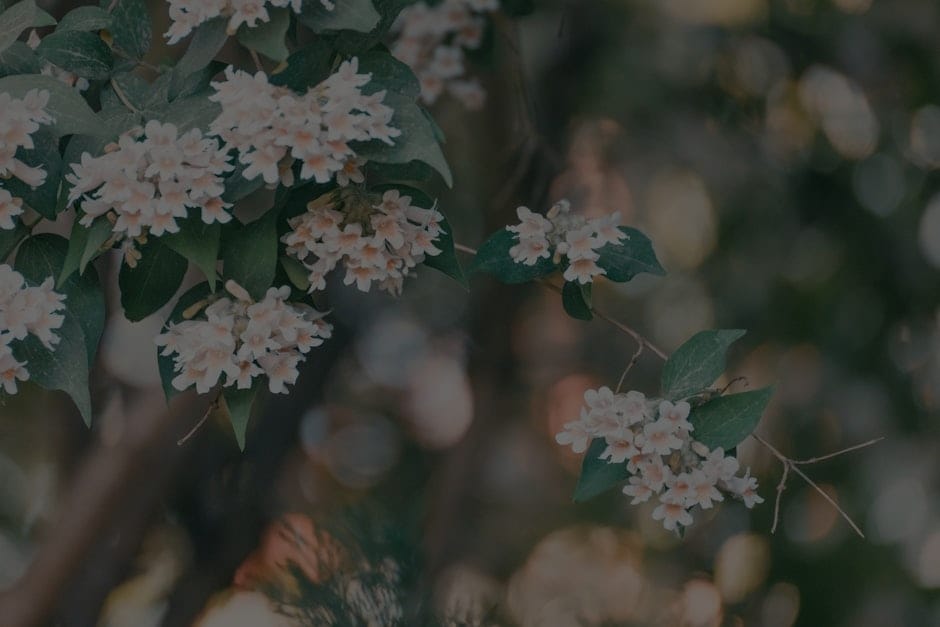 Enhancing Your Garden with Feng Shui-Ornaments for Outdoor Serenity
