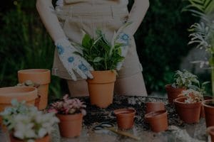 Enhancing Your Outdoor Space-Feng Shui Ideas for Your Garden
