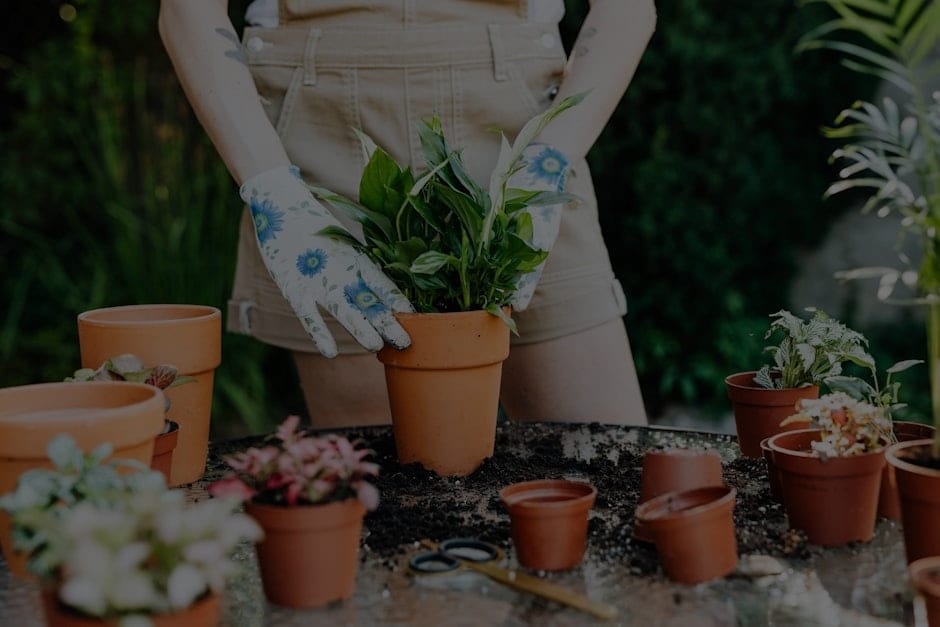 Enhancing Your Outdoor Space-Feng Shui Ideas for Your Garden