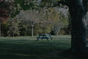 Enhancing Your Outdoor Space-Feng Shui Ornaments for Gardens
